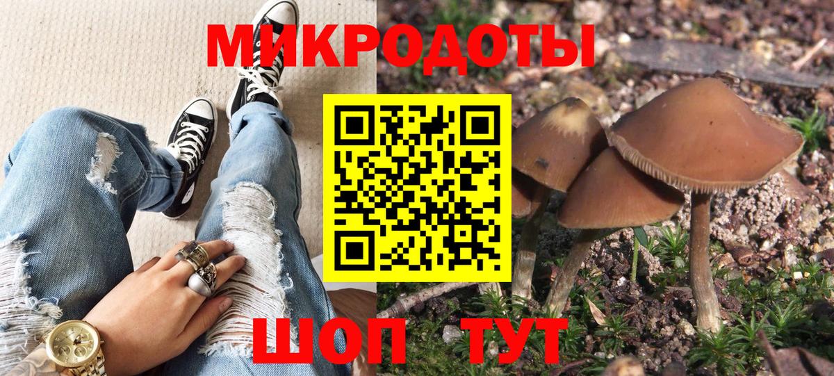 Омск  Псилоцибиновые грибы мухоморы  Вход с VPN  купить закладку  Псилоцибиновые грибы Psilocybe 