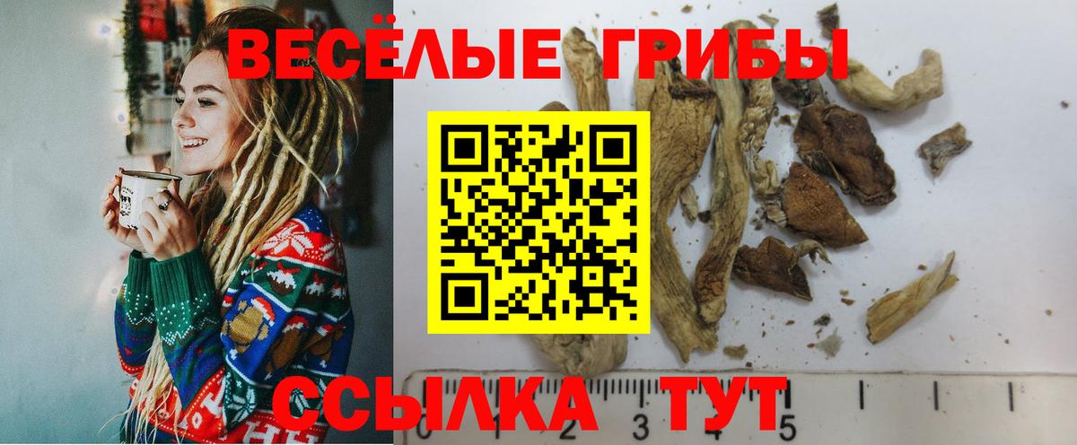 Псилоцибиновые грибы Magic Shrooms Омск